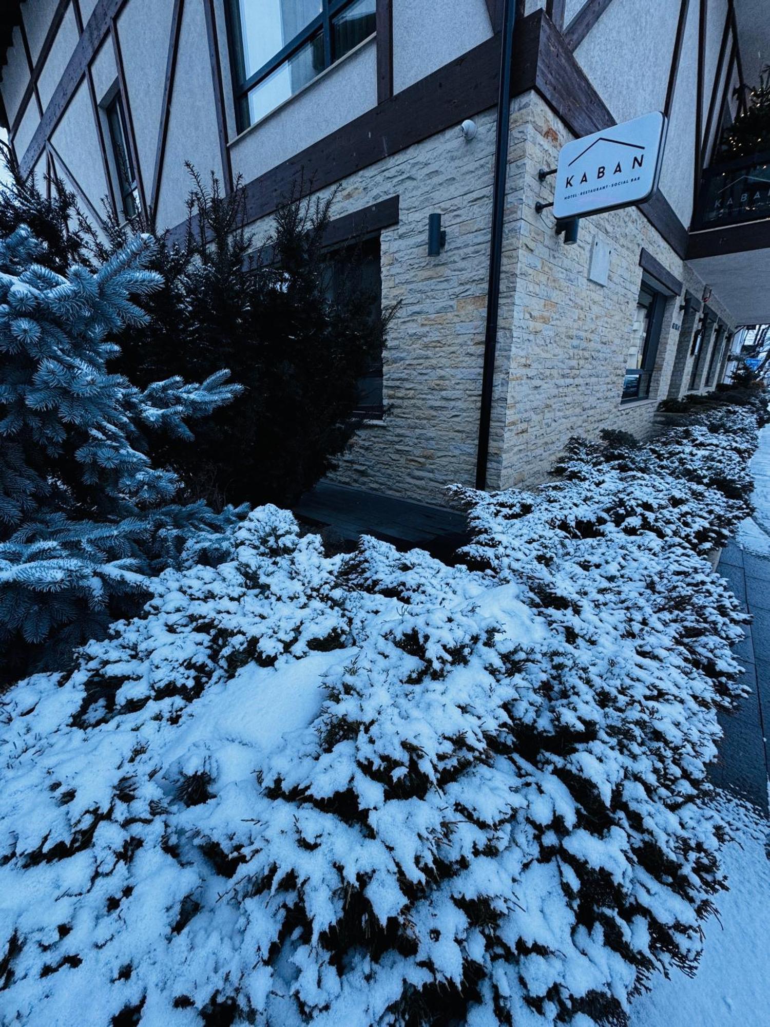Villa Kaban Boutique Vatra Dornei Exterior foto